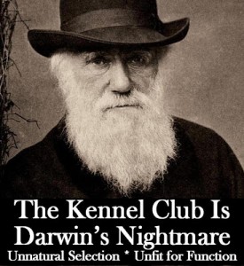DarwinDogfinal.jpg