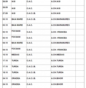 Asociatia Chinologica Romana - Calendar 2020 - Google Chrome 7_3_2020 4_59_08 PM.png
