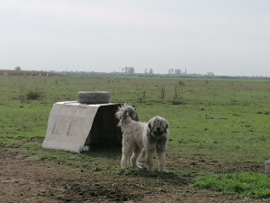IMG_20201010_133651.jpg