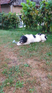 20200926_174615.jpg