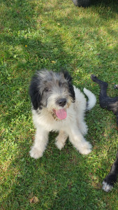 20201003_133742.jpg