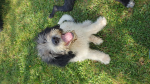 20201003_133737.jpg