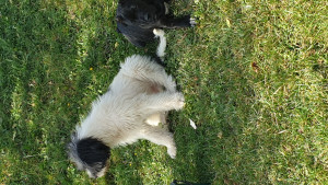 20201003_133714.jpg