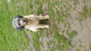 20201128_143217.jpg