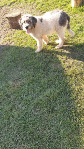 20201205_130726.jpg