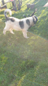 20201205_142515.jpg