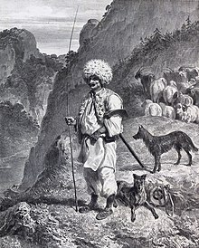 220px-Raffet_-_Berger_du_Banat.jpg