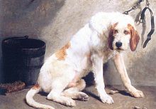 220px-Rosa_Bonheur_Grand_Griffon_Vendeen.jpg