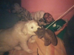 Dolly mica se distra
