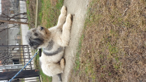 20201220_133337.jpg
