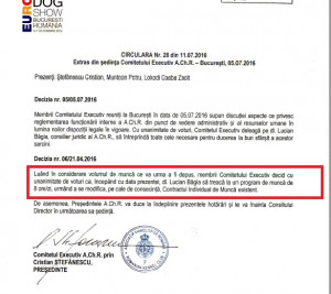 Bagia2.jpg