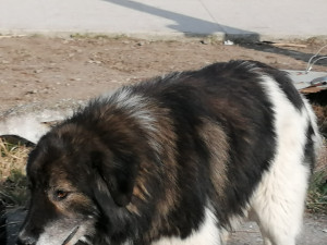 IMG_20210310_092028.jpg