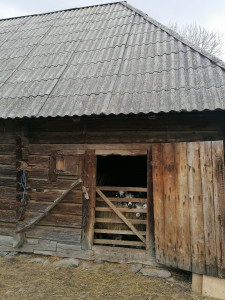 IMG_20210408_150139.jpg