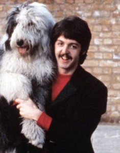 Martha My Dear on the Beatles' 1968 White Album was written about his female sheepdog