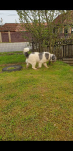 Screenshot_20210503-210135_Video Player.jpg