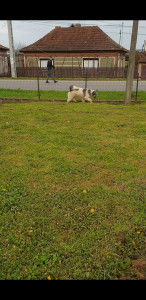 Screenshot_20210504-203116_Video Player.jpg
