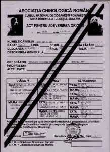 ped mic wtc.jpg