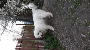IMG-20210421-WA0007.jpeg