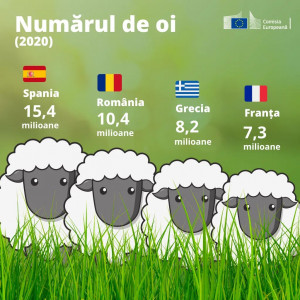 FB_IMG_1625090412279.jpg (159.32 KiB) Viewed 6047 times Șeptel Ovine România