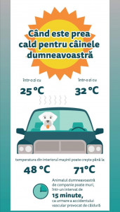 Nu lăsați câinele în mașină, remorca sau alte spatii care se supraincalzesc.