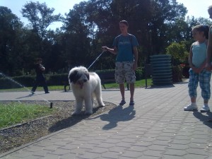 Bucium din Zestrea Stanelor