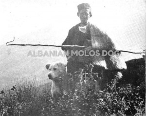 Ciobăneștii Aromânilor - poza este facuta de arheologul italian Luis Maria Ugolin în anul 1926 la Ksamil Butrint