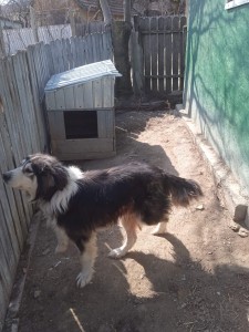 received_373209924675411.jpeg