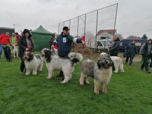 IMG_20220409_105635.jpg