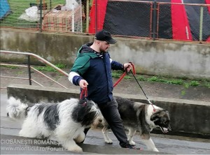 Crescător Dorian Fășie