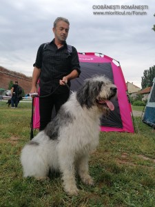 IMG_20220604_201057.jpg