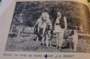 Carpatin și Mioritic