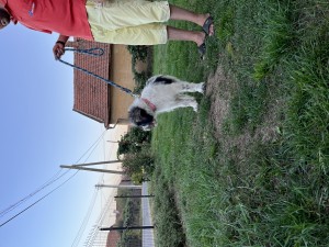 12E6BB97-841D-4C0E-8771-B148911C75DB.jpeg