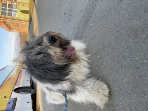 A8323E35-F736-4C04-A68D-9D8F1CCA87C8.jpeg