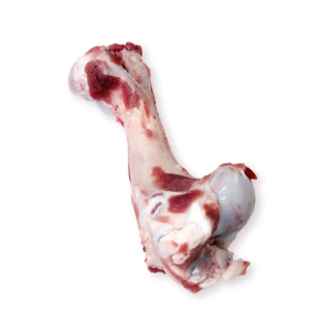 Femur