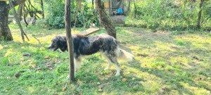20230819_105002.jpg