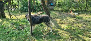 20230819_104959.jpg