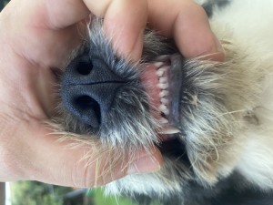 593D868A-01B3-4FDE-9A59-3277FC4D2E12.jpeg