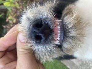 1591C250-D7C8-4F58-BA07-130C5074368E.jpeg