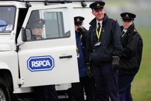 https://www.thirdsector.co.uk/rspca-plans-close-four-hospitals-centres/finance/article/1687736