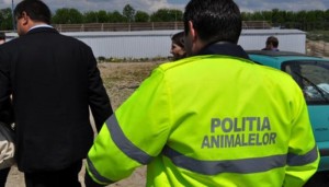 https://ph-online.ro/administratie/item/115959-ijp-prahova-face-angajari-pentru-politia-animalelor-noul-departament-infiintat-de-m-a-i