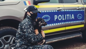 https://ziarulprahova.ro/2021/02/un-adapost-de-caini-pisici-si-oi-din-prahova-prima-actiune-a-politiei-animalelor-dupa-infiintarea-structurii-politiei-romane/