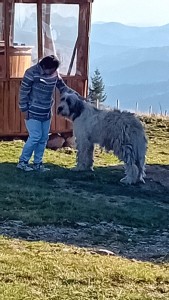 Aici ma împrieteneam cu el