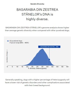 Why genetic diversity is important.<br />One way to look at the loss of genetic diversity is as a series of funnels. Every time a group of animals is selected by humans for certain traits and abilities, that population becomes both filtered and reduced. This inevitably leads to a decrease in genetic variety and an increase of genetic risk. Genetic risks associated with low heterozygosity include inherited diseases, shorter life spans, limited growth, and a higher rate of offspring mortality.