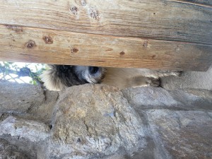 I can SEE you !