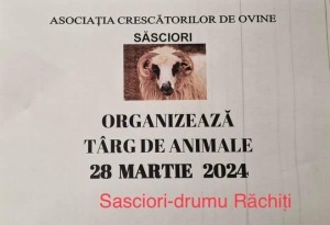 Târg de animale la SĂSCIORI  lângă  Sebeș județul Alba
