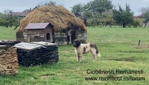 IMG_4493.jpeg