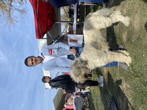 IMG_5860.jpeg