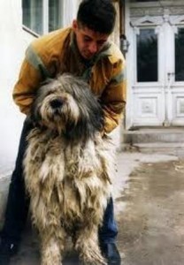 images3.jpg