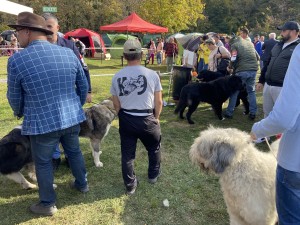 IMG_5878.jpeg