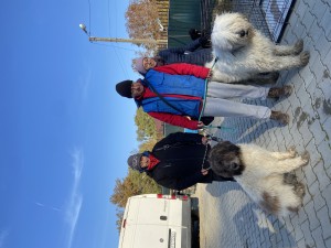 IMG_5773.jpeg